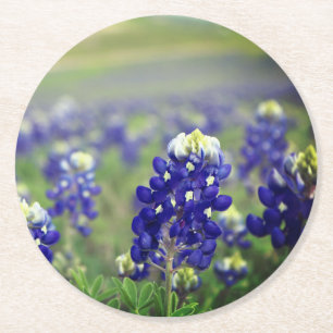 Blauwbonnaars Blauwe Bloemen Texas Texan Floral Ronde Kartonnen Onderzetter