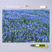 Blauwbonnaars Blauwe Floral Texas Texan Elegant Ti Tissuepapier (Craft)