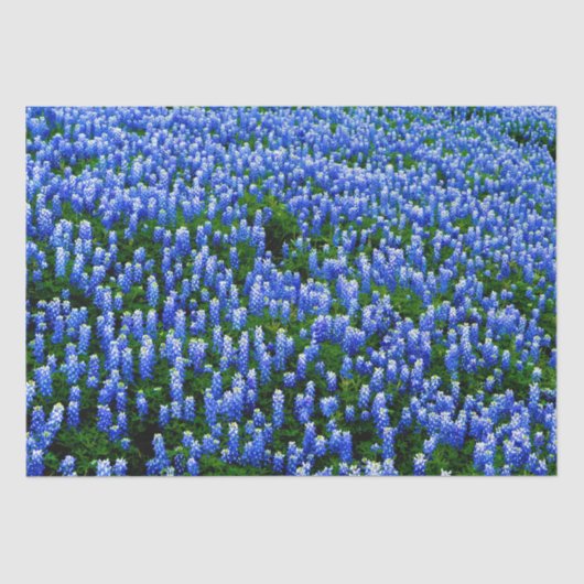 Blauwbonnaars Blauwe Floral Texas Texan Elegant Ti Tissuepapier (Voorkant)