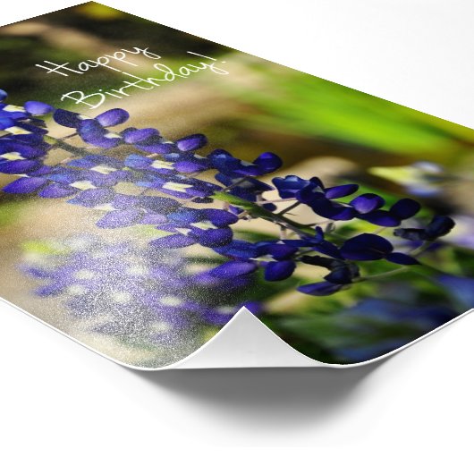 Blauwbonnet "Happy Birthday" Foto afdrukken (Hoek)