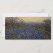 Blauwbonnetbloemen (landschap)