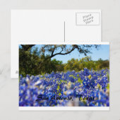 Blauwbonnetjes Briefkaart (Voorkant / Achterkant)