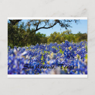 Blauwbonnetjes Briefkaart
