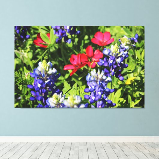 Blauwbonnetjes Canvas Afdruk (Insitu (Houten vloer))