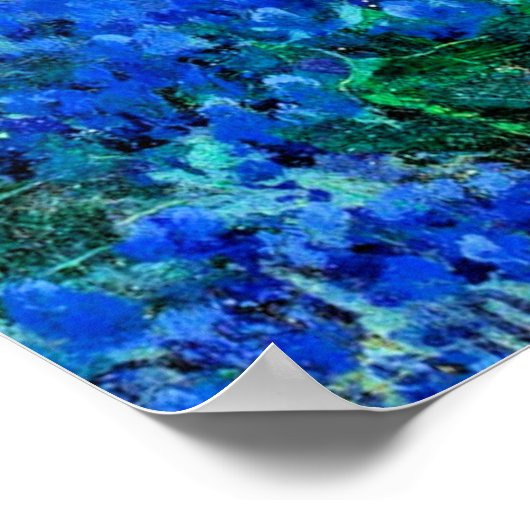 Blauwbonnetjes in de Misty Morning Poster (Hoek)