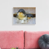 Blauwbuien die uitkijken naar de grote wereld canvas afdruk (Insitu (Woonkamer))