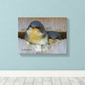 Blauwbuien die uitkijken naar de grote wereld canvas afdruk (Insitu (Houten vloer))