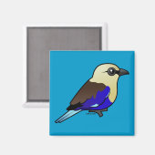 blauwbuikige roller magneet (Voorkant / Achterkant)