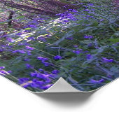 Blauwdruk Bossen afdrukken Poster (Hoek)