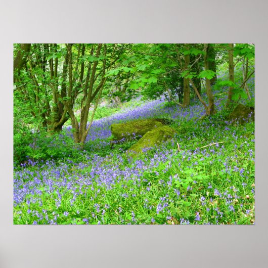 Blauwdruk Bossen Poster (Voorkant)