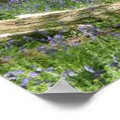 Blauwdruk Bossen Poster (Hoek)