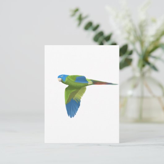 Blauwdruk Conure Briefkaart (Staand voorkant)