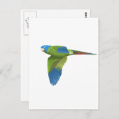 Blauwdruk Conure Briefkaart (Voorkant / Achterkant)