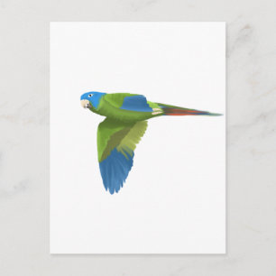 Blauwdruk Conure Briefkaart