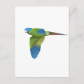 Blauwdruk Conure Briefkaart (Voorkant)