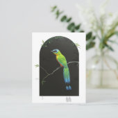 Blauwdruk Motmot Briefkaart (Staand voorkant)