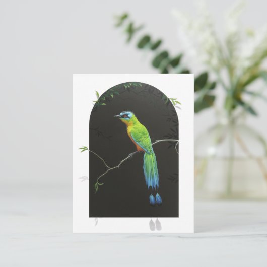 Blauwdruk Motmot Briefkaart (Staand voorkant)