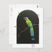 Blauwdruk Motmot Briefkaart (Voorkant / Achterkant)