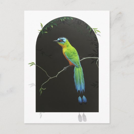 Blauwdruk Motmot Briefkaart (Voorkant)