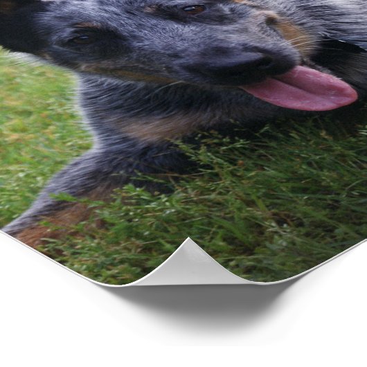 Blauwdruk op de voeler poster (Hoek)