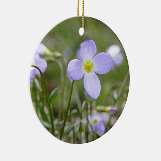 Blauwdruk - Quaker Dames Keramisch Ornament (Rechts)