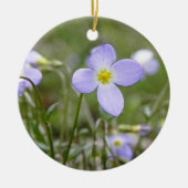 Blauwdruk - Quaker Dames Keramisch Ornament (Voorkant)