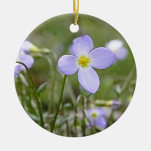 Blauwdruk - Quaker Dames Keramisch Ornament