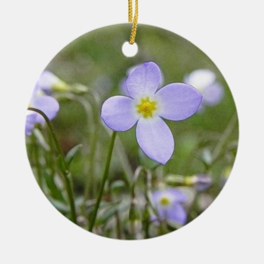 Blauwdruk - Quaker Dames Keramisch Ornament (Voorkant)