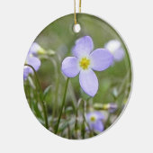 Blauwdruk - Quaker Dames Keramisch Ornament (Links)