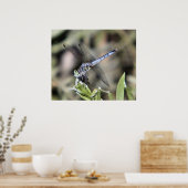 blauwdruk voor limonvlieg poster (Keuken)