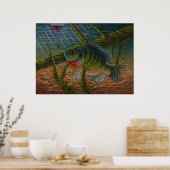 Blauwdrukken Poster (Keuken)