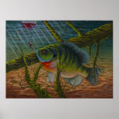 Blauwdrukken Poster (Voorkant)