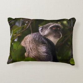 Blauwe aap, Zanzibar Accent Kussen