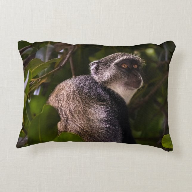 Blauwe aap, Zanzibar Accent Kussen (Achterkant)