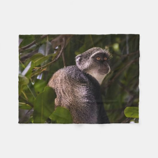Blauwe aap, Zanzibar Fleece Deken (Voorkant (Horizontaal))
