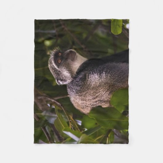 Blauwe aap, Zanzibar Fleece Deken (Voorkant)