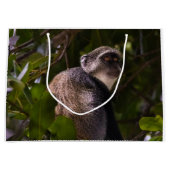 Blauwe aap, Zanzibar Groot Cadeauzakje (Voorkant)