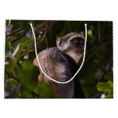 Blauwe aap, Zanzibar Groot Cadeauzakje (Achterkant)