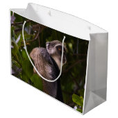 Blauwe aap, Zanzibar Groot Cadeauzakje (Achterkant Gekanteld)