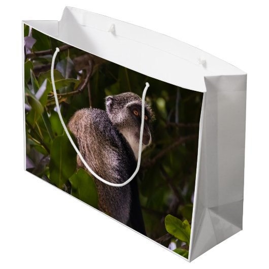 Blauwe aap, Zanzibar Groot Cadeauzakje (Achterkant Gekanteld)