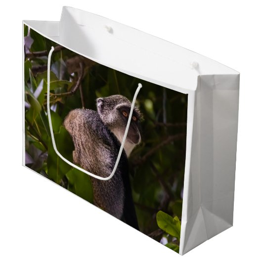 Blauwe aap, Zanzibar Groot Cadeauzakje (Voorkant Gekanteld)