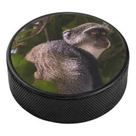 Blauwe aap, Zanzibar Hockey Puck