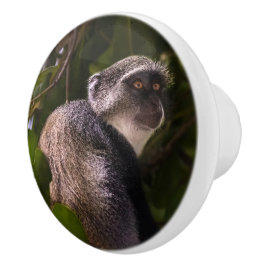 Blauwe aap, Zanzibar Keramische Knop