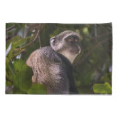 Blauwe aap, Zanzibar Kussensloop (Achterkant)