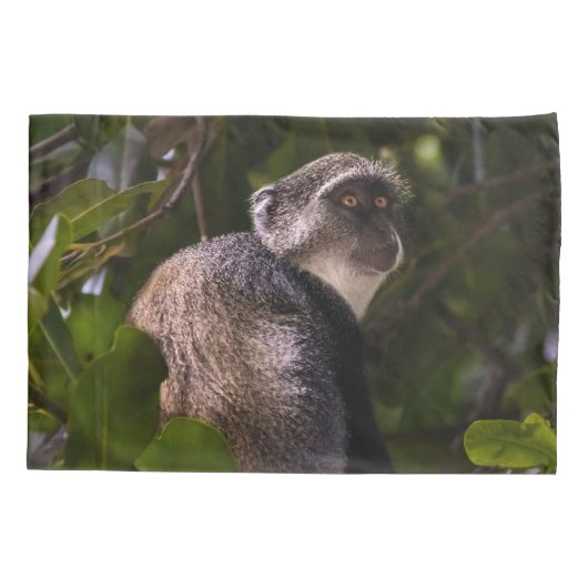 Blauwe aap, Zanzibar Kussensloop (Achterkant)