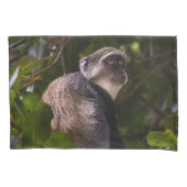 Blauwe aap, Zanzibar Kussensloop (Voorkant)