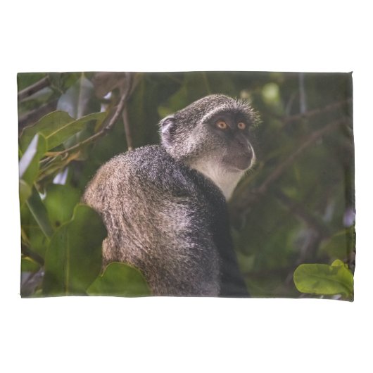 Blauwe aap, Zanzibar Kussensloop (Voorkant)