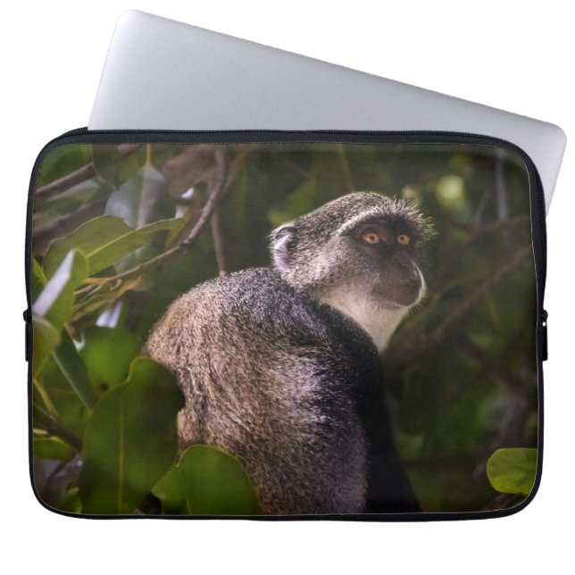 Blauwe aap, Zanzibar Laptop Sleeve (Voorkant)