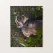 Blauwe aap, Zanzibar Legpuzzel (Verticaal)