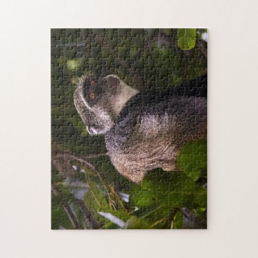 Blauwe aap, Zanzibar Legpuzzel (Verticaal)